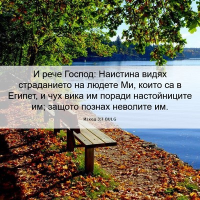 Picture 06 - Изход 3:7 BULG - И рече Господ: Наистина - Bible Verse Picture