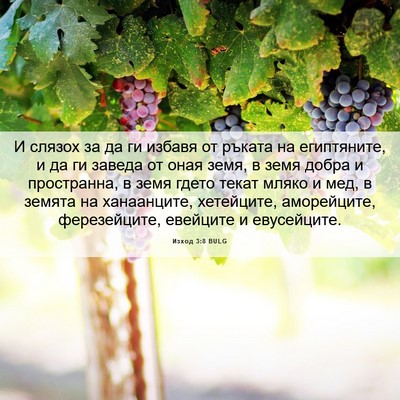 Picture 06 - Изход 3:8 BULG - И слязох за да ги избавя от - Bible Verse Picture