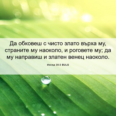 Picture 06 - Изход 30:3 BULG - Да обковеш с чисто злато - Bible Verse Picture