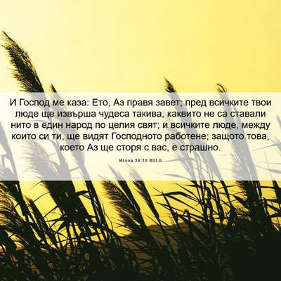Picture 06 - Изход 34:10 BULG - И Господ ме каза: Ето, Аз - Bible Verse Picture
