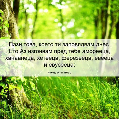Picture 06 - Изход 34:11 BULG - Пази това, което ти - Bible Verse Picture
