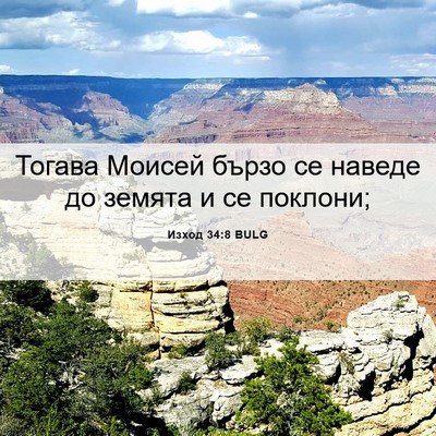 Picture 06 - Изход 34:8 BULG - Тогава Моисей бързо се - Bible Verse Picture