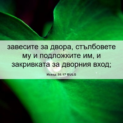 Picture 06 - Изход 35:17 BULG - завесите за двора, - Bible Verse Picture