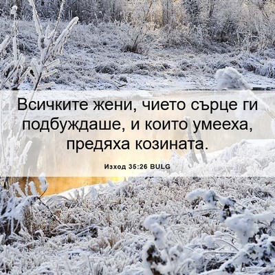 Picture 06 - Изход 35:26 BULG - Всичките жени, чието сърце - Bible Verse Picture
