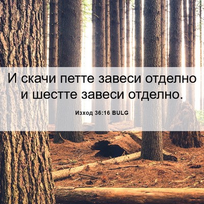 Picture 06 - Изход 36:16 BULG - И скачи петте завеси - Bible Verse Picture