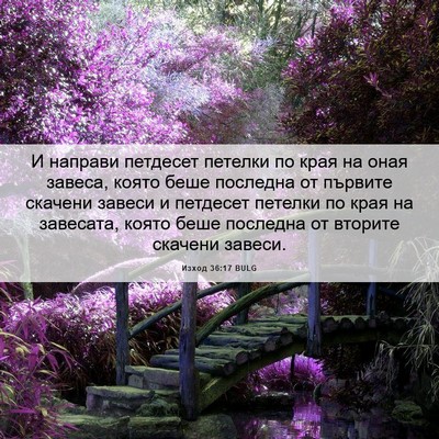 Picture 06 - Изход 36:17 BULG - И направи петдесет петелки - Bible Verse Picture