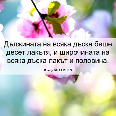 Picture 06 - Изход 36:21 BULG - Дължината на всяка дъска - Bible Verse Picture