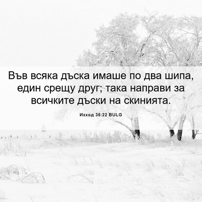 Picture 06 - Изход 36:22 BULG - Във всяка дъска имаше по - Bible Verse Picture