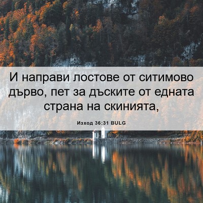 Picture 06 - Изход 36:31 BULG - И направи лостове от - Bible Verse Picture