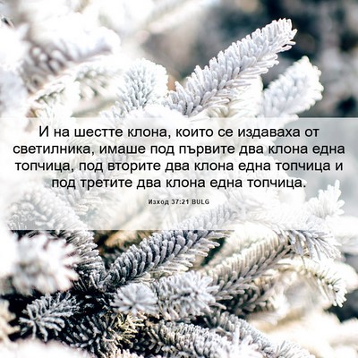 Picture 06 - Изход 37:21 BULG - И на шестте клона, които се - Bible Verse Picture
