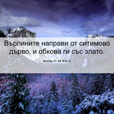 Picture 06 - Изход 37:28 BULG - Върлините направи от - Bible Verse Picture