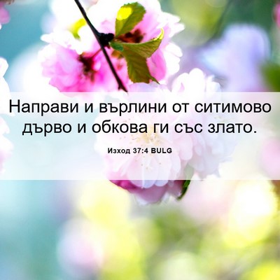 Picture 06 - Изход 37:4 BULG - Направи и върлини от - Bible Verse Picture