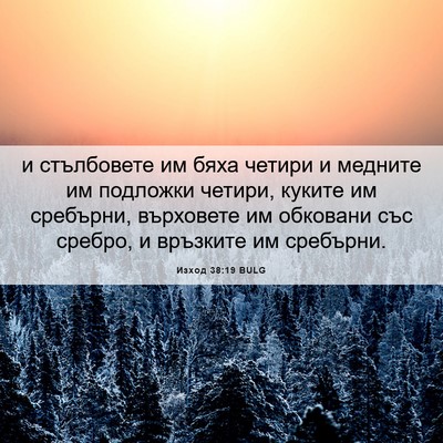 Picture 06 - Изход 38:19 BULG - и стълбовете им бяха - Bible Verse Picture