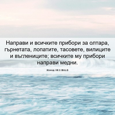 Picture 06 - Изход 38:3 BULG - Направи и всичките прибори - Bible Verse Picture
