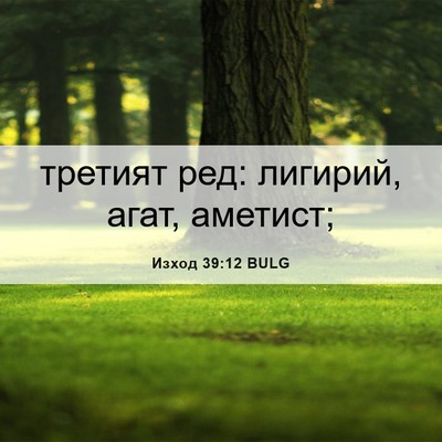 Picture 06 - Изход 39:12 BULG - третият ред: лигирий, агат, - Bible Verse Picture