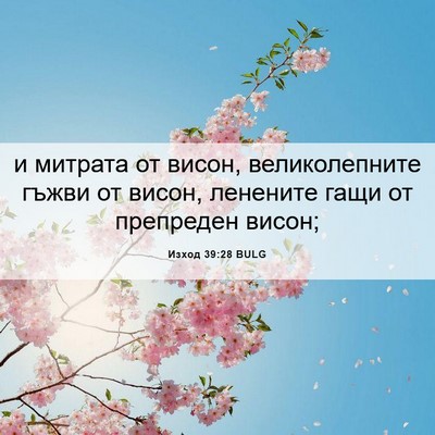 Picture 06 - Изход 39:28 BULG - и митрата от висон, - Bible Verse Picture