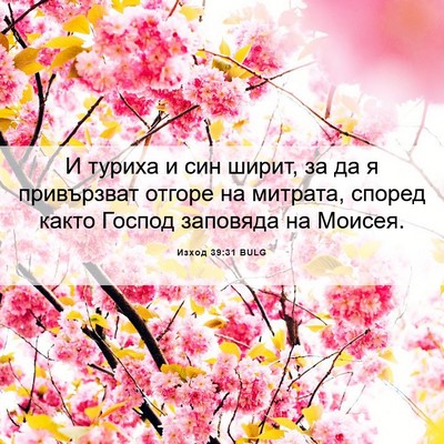 Picture 06 - Изход 39:31 BULG - И туриха и син ширит, за да - Bible Verse Picture
