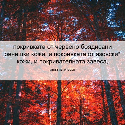 Picture 06 - Изход 39:34 BULG - покривката от червено - Bible Verse Picture