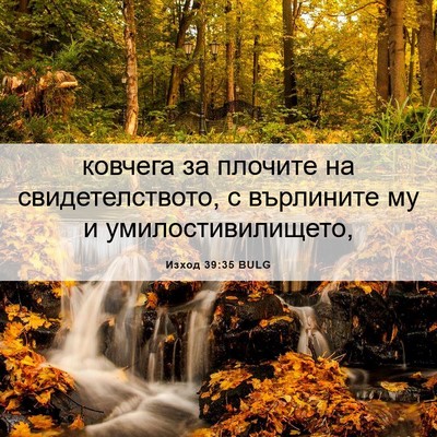 Picture 06 - Изход 39:35 BULG - ковчега за плочите на - Bible Verse Picture