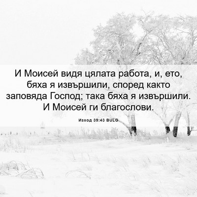 Picture 06 - Изход 39:43 BULG - И Моисей видя цялата - Bible Verse Picture