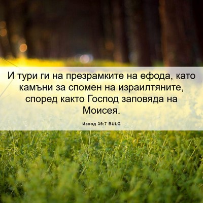 Picture 06 - Изход 39:7 BULG - И тури ги на презрамките на - Bible Verse Picture