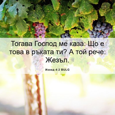 Picture 06 - Изход 4:2 BULG - Тогава Господ ме каза: Що е - Bible Verse Picture