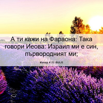 Picture 06 - Изход 4:22 BULG - А ти кажи на Фараона: Така - Bible Verse Picture