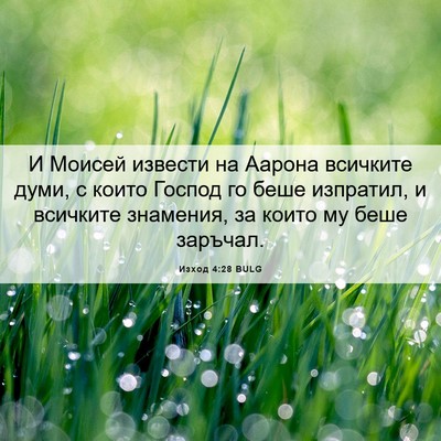 Picture 06 - Изход 4:28 BULG - И Моисей извести на Аарона - Bible Verse Picture