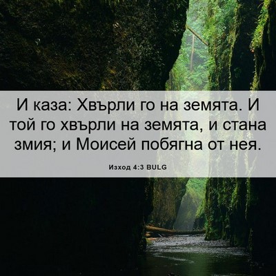 Picture 06 - Изход 4:3 BULG - И каза: Хвърли го на земята. - Bible Verse Picture