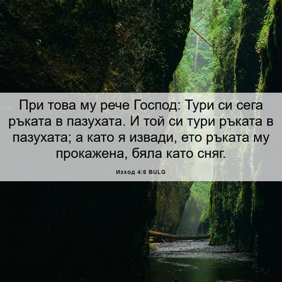 Picture 06 - Изход 4:6 BULG - При това му рече Господ: - Bible Verse Picture