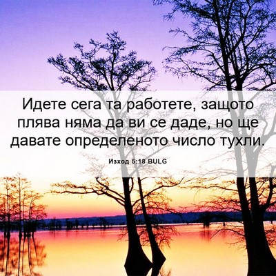 Picture 06 - Изход 5:18 BULG - Идете сега та работете, - Bible Verse Picture