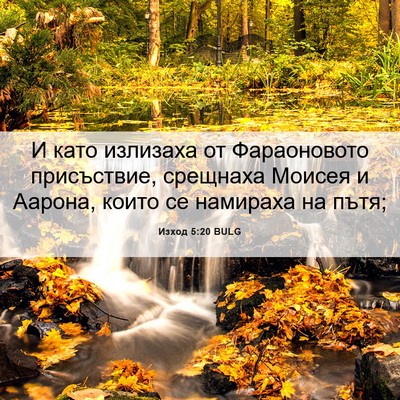 Picture 06 - Изход 5:20 BULG - И като излизаха от - Bible Verse Picture