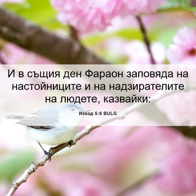 Picture 06 - Изход 5:6 BULG - И в същия ден Фараон - Bible Verse Picture