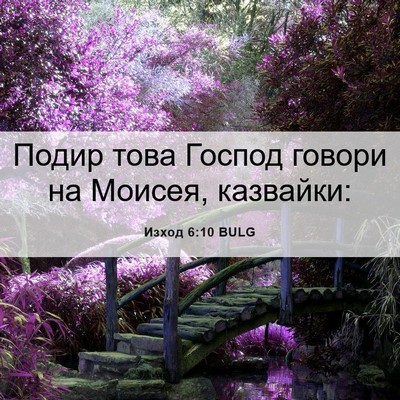 Picture 06 - Изход 6:10 BULG - Подир това Господ говори - Bible Verse Picture