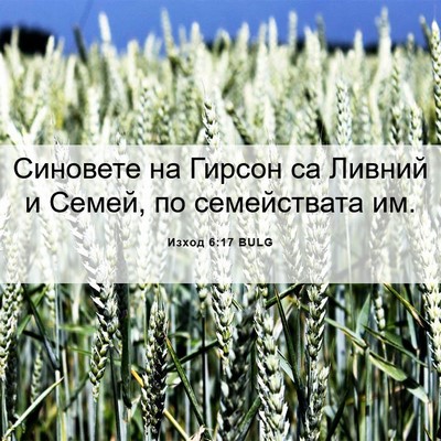 Picture 06 - Изход 6:17 BULG - Синовете на Гирсон са - Bible Verse Picture