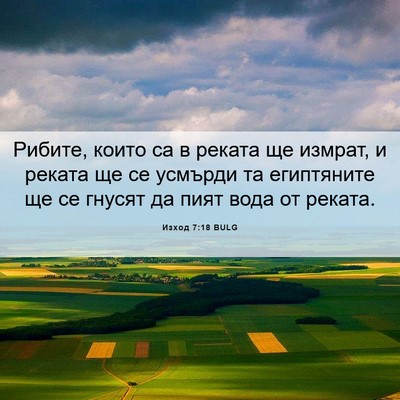 Picture 06 - Изход 7:18 BULG - Рибите, които са в реката - Bible Verse Picture
