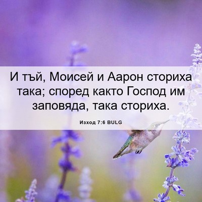 Picture 06 - Изход 7:6 BULG - И тъй, Моисей и Аарон - Bible Verse Picture