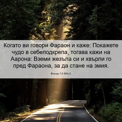 Picture 06 - Изход 7:9 BULG - Когато ви говори Фараон и - Bible Verse Picture