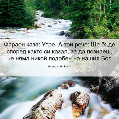 Picture 06 - Изход 8:10 BULG - Фараон каза: Утре. А той - Bible Verse Picture