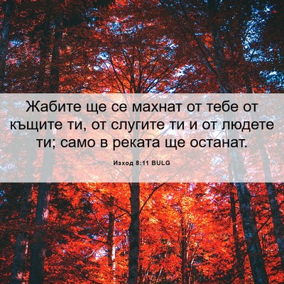 Picture 06 - Изход 8:11 BULG - Жабите ще се махнат от тебе - Bible Verse Picture