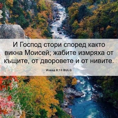 Picture 06 - Изход 8:13 BULG - И Господ стори според - Bible Verse Picture