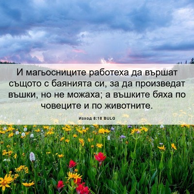 Picture 06 - Изход 8:18 BULG - И магьосниците работеха да - Bible Verse Picture