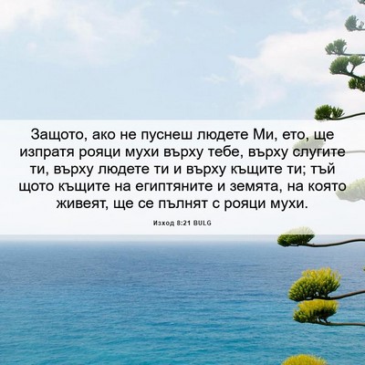 Picture 06 - Изход 8:21 BULG - Защото, ако не пуснеш - Bible Verse Picture