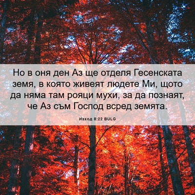 Picture 06 - Изход 8:22 BULG - Но в оня ден Аз ще отделя - Bible Verse Picture