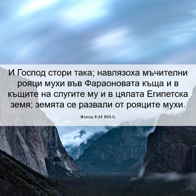 Picture 06 - Изход 8:24 BULG - И Господ стори така; - Bible Verse Picture