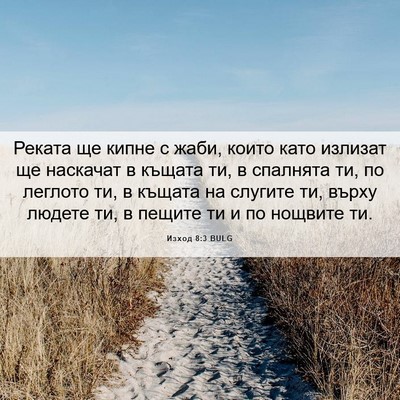 Picture 06 - Изход 8:3 BULG - Реката ще кипне с жаби, - Bible Verse Picture