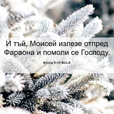 Picture 06 - Изход 8:30 BULG - И тъй, Моисей излезе отпред - Bible Verse Picture