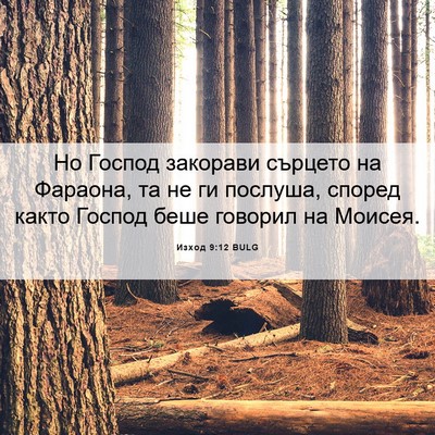 Picture 06 - Изход 9:12 BULG - Но Господ закорави сърцето - Bible Verse Picture