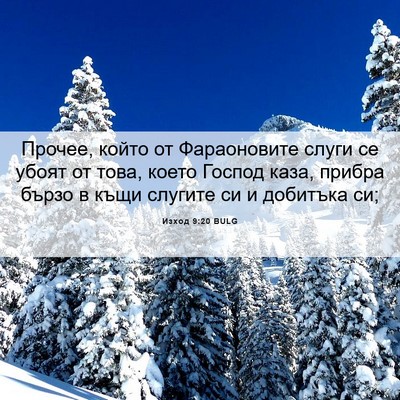 Picture 06 - Изход 9:20 BULG - Прочее, който от - Bible Verse Picture