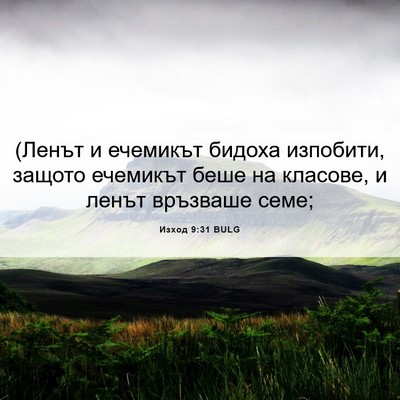 Picture 06 - Изход 9:31 BULG - (Ленът и ечемикът бидоха - Bible Verse Picture
